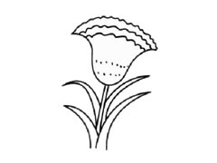 雞冠花簡(jiǎn)筆畫創(chuàng)作步驟圖示