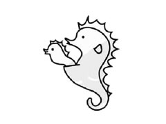 海馬兒童簡(jiǎn)筆畫(huà)步驟圖示