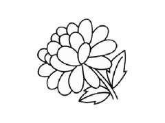 金盞菊簡筆畫創(chuàng)作步驟圖示