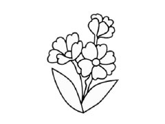 報春花簡筆畫創(chuàng)作步驟圖示