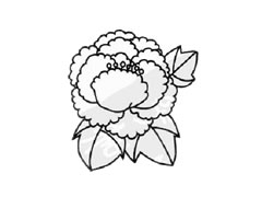 牡丹花簡(jiǎn)筆畫創(chuàng)作步驟圖示