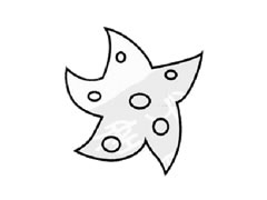 海星兒童簡(jiǎn)筆畫(huà)步驟圖示