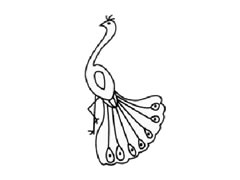 孔雀兒童簡(jiǎn)筆畫(huà)步驟圖示