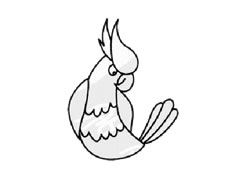 鸚鵡兒童簡(jiǎn)筆畫(huà)步驟圖示