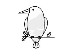 翠鳥簡(jiǎn)筆畫創(chuàng)作步驟圖示