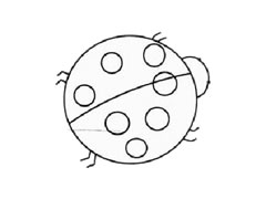 七星瓢蟲兒童簡(jiǎn)筆畫繪制步驟圖示