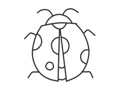 七星瓢蟲簡(jiǎn)筆畫創(chuàng)作步驟圖示