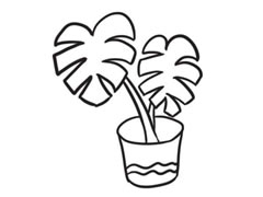 龜背竹簡(jiǎn)筆畫(huà)創(chuàng)作步驟圖示