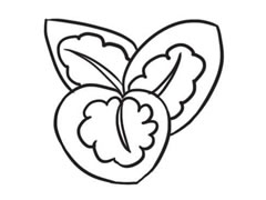 竹芋簡(jiǎn)筆畫(huà)創(chuàng)作步驟圖示