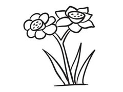 水仙花簡(jiǎn)筆畫(huà)創(chuàng)作步驟圖示