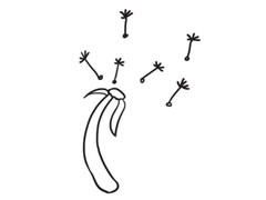 蒲公英簡(jiǎn)筆畫創(chuàng)作步驟圖示