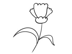 康乃馨簡(jiǎn)筆畫創(chuàng)作步驟圖示