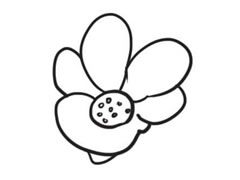 石榴花簡筆畫創(chuàng)作步驟圖示