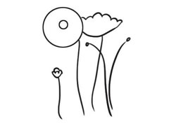 虞美人簡(jiǎn)筆畫(huà)創(chuàng)作步驟圖示