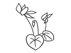 仙客來(lái)簡(jiǎn)筆畫創(chuàng)作步驟圖示