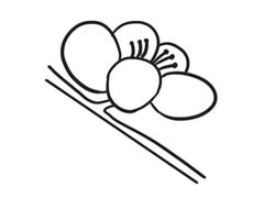 梅花簡(jiǎn)筆畫創(chuàng)作步驟圖示
