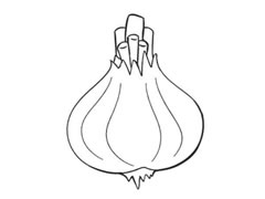 大蒜簡(jiǎn)筆畫(huà)創(chuàng)作步驟圖示