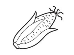 玉米簡(jiǎn)筆畫創(chuàng)作步驟圖示