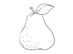 香梨簡(jiǎn)筆畫(huà)創(chuàng)作步驟圖示