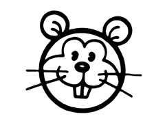 松鼠兒童簡(jiǎn)筆畫步驟圖示