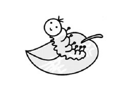 蠶的簡(jiǎn)筆畫繪制步驟圖示
