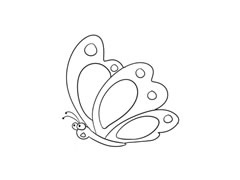 蝴蝶簡(jiǎn)筆畫法步驟圖示