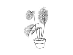 散尾葵簡(jiǎn)筆畫(huà)繪制步驟圖示