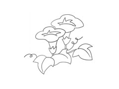 喇叭花簡(jiǎn)筆畫(huà)法步驟圖示