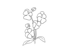 三色堇簡(jiǎn)筆畫法步驟圖示