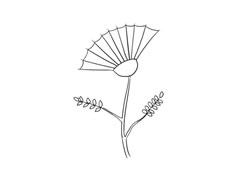 合歡花簡(jiǎn)筆畫(huà)法步驟圖示