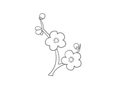 梅花簡(jiǎn)筆畫法步驟圖示