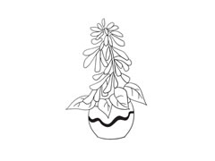 一串紅簡(jiǎn)筆畫法步驟圖示