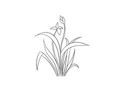 蘭花簡(jiǎn)筆畫法步驟圖示