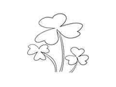 三葉草簡(jiǎn)筆畫(huà)法步驟圖示