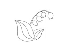 鈴蘭簡(jiǎn)筆畫法步驟圖示