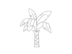 芭蕉樹簡筆畫法步驟圖示