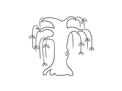 柳樹簡筆畫法步驟圖示