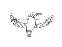 翠鳥簡(jiǎn)筆畫分步繪制