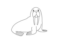 海象簡筆畫分步繪制
