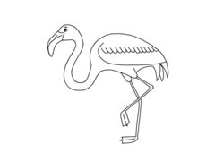 火烈鳥簡(jiǎn)筆畫分步繪制