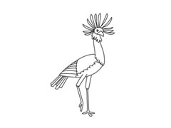 秘書鳥簡(jiǎn)筆畫分步繪制