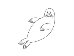 海豹簡筆畫分步繪制