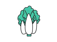 白菜簡(jiǎn)筆畫(huà)分步繪制圖示