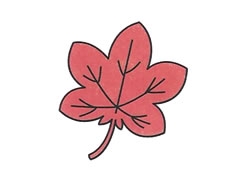 楓葉簡(jiǎn)筆畫繪制步驟圖示