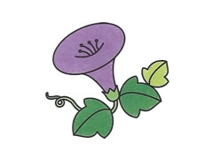 簡(jiǎn)筆畫喇叭花畫法步驟圖示