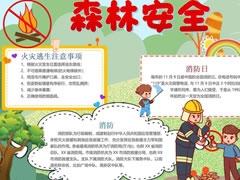 森林安全手抄報模板