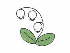 簡(jiǎn)筆畫(huà)鈴蘭畫(huà)法步驟圖示