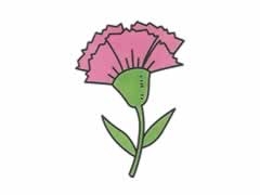 簡(jiǎn)筆畫康乃馨畫法步驟圖示