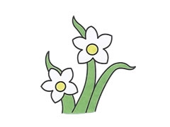 簡(jiǎn)筆畫蘭花畫法步驟圖示
