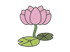 簡(jiǎn)筆畫荷花畫法步驟圖示
